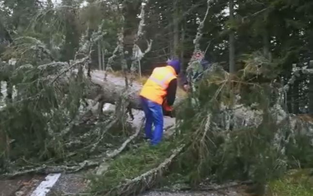 transalpina2 - Jurnalul Olteniei – Știri din Craiova și Oltenia