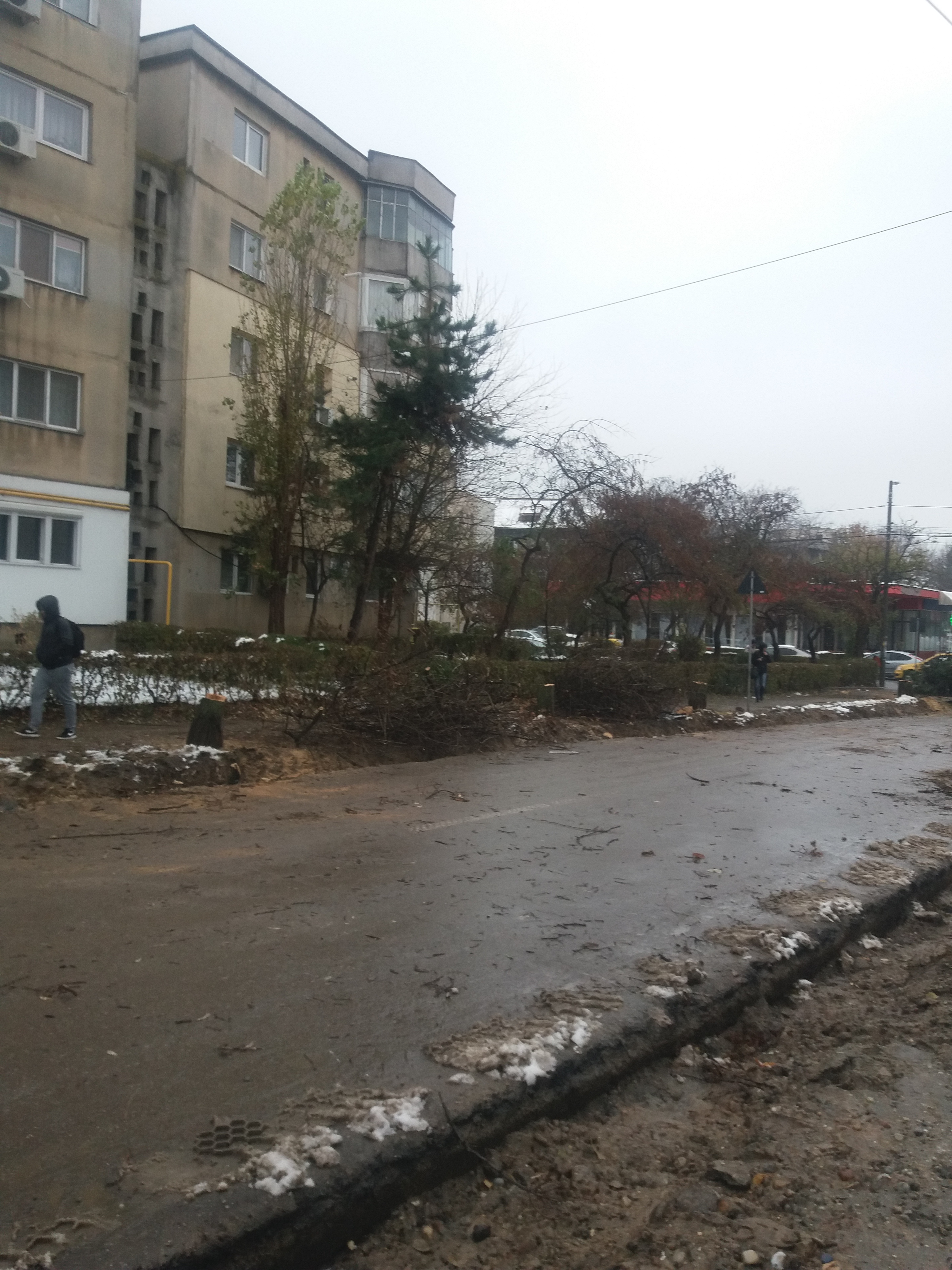 20181120_094635 - Jurnalul Olteniei – Știri din Craiova și Oltenia