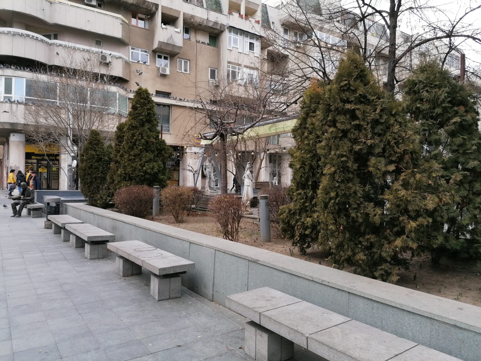 tuia terasa - Jurnalul Olteniei – Știri din Craiova și Oltenia