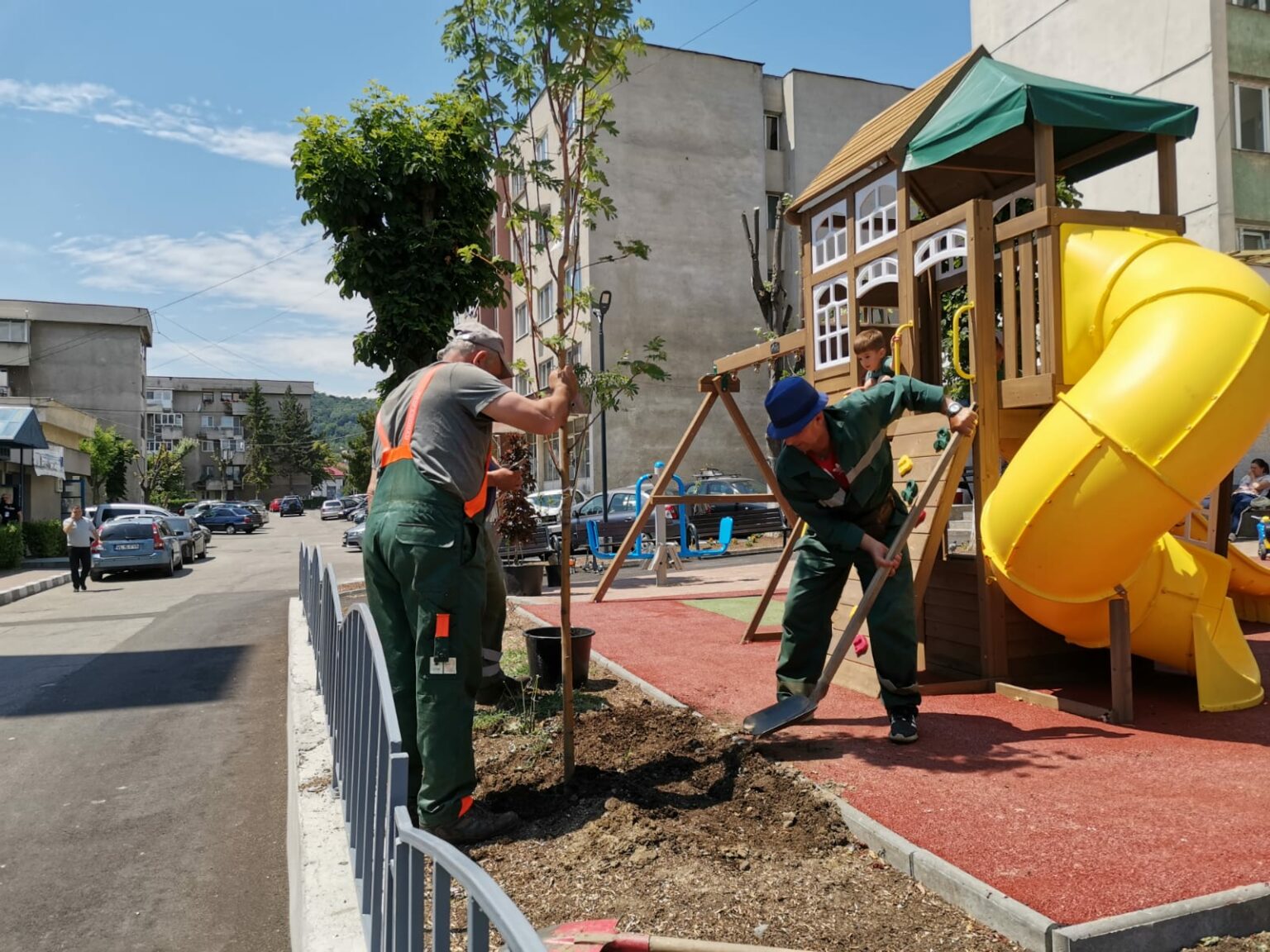 copaci ramnic - Jurnalul Olteniei – Știri din Craiova și Oltenia