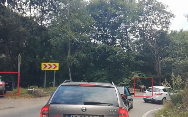 646x404a - Jurnalul Olteniei – Știri din Craiova și Oltenia