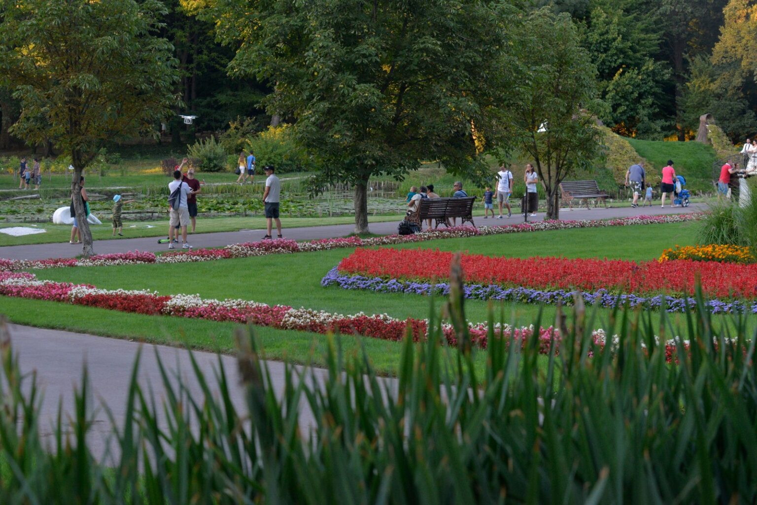 Green City - Jurnalul Olteniei – Știri din Craiova și Oltenia