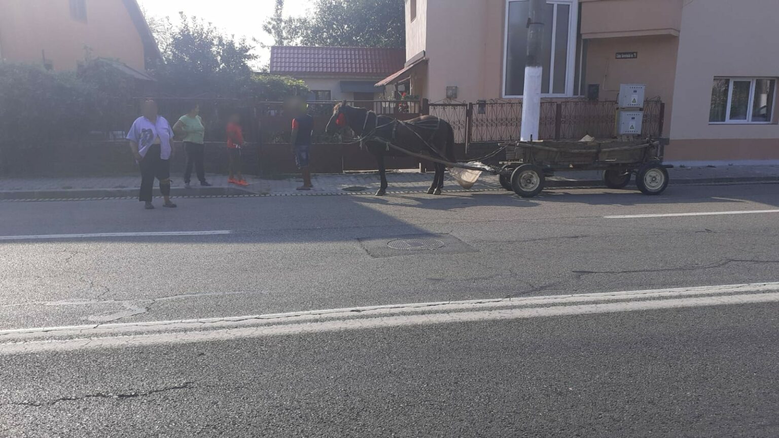 carute - Jurnalul Olteniei – Știri din Craiova și Oltenia