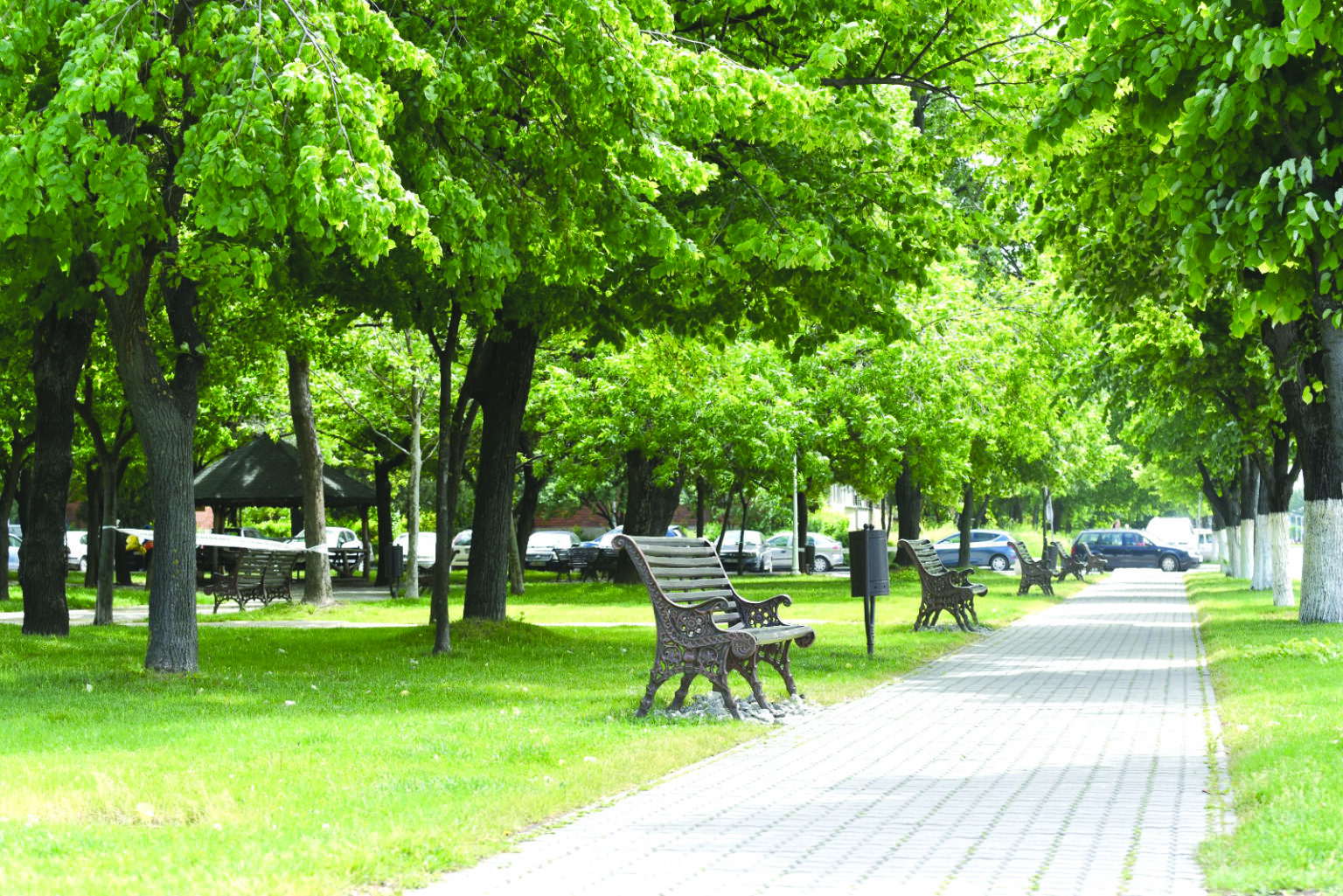 parcuri 3 c - Jurnalul Olteniei – Știri din Craiova și Oltenia