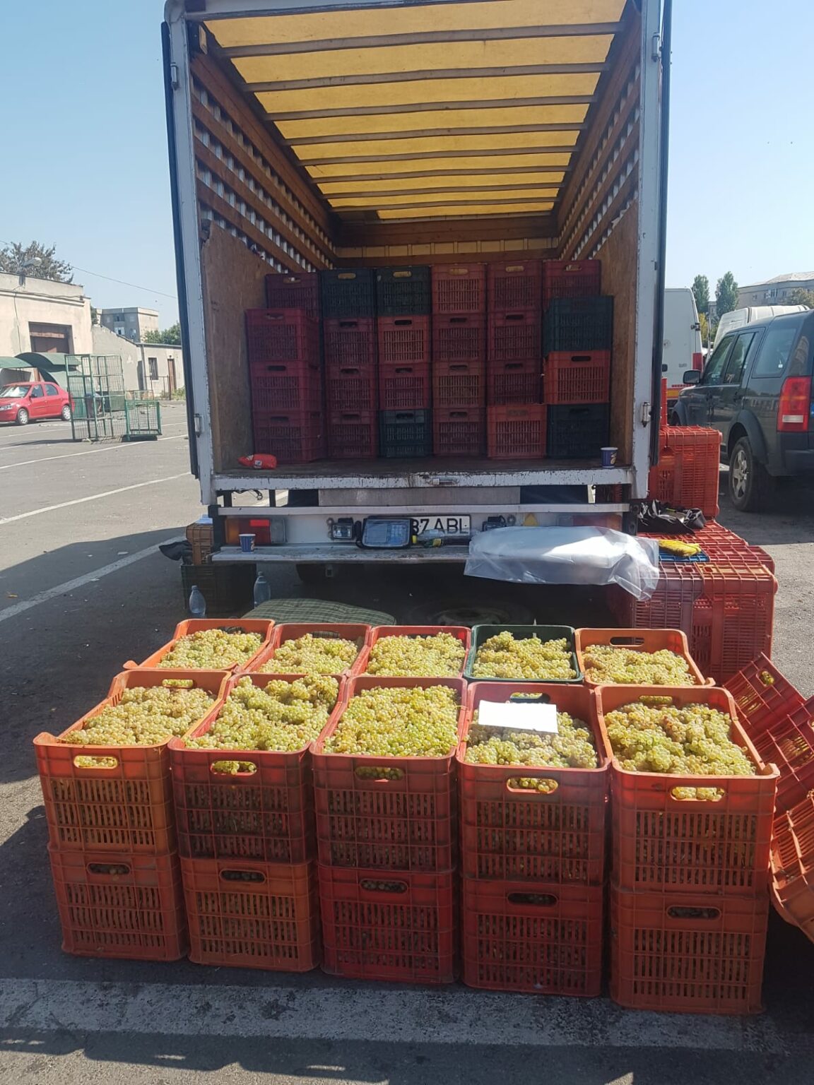 struguri - Jurnalul Olteniei – Știri din Craiova și Oltenia