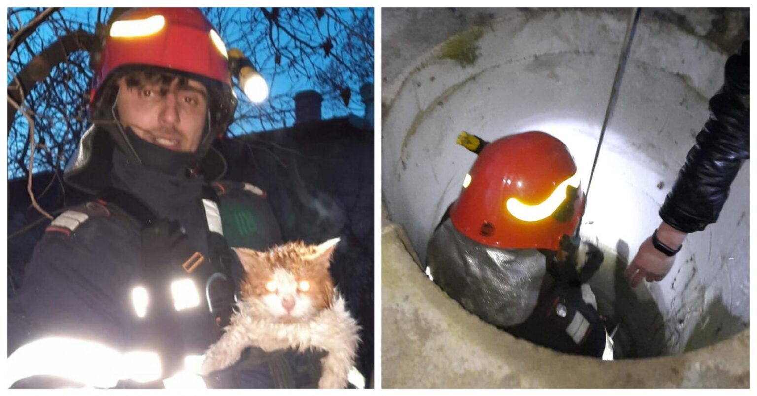 49f272ac83ebc507549387ca6a5c4f9e_XL - Jurnalul Olteniei – Știri din Craiova și Oltenia