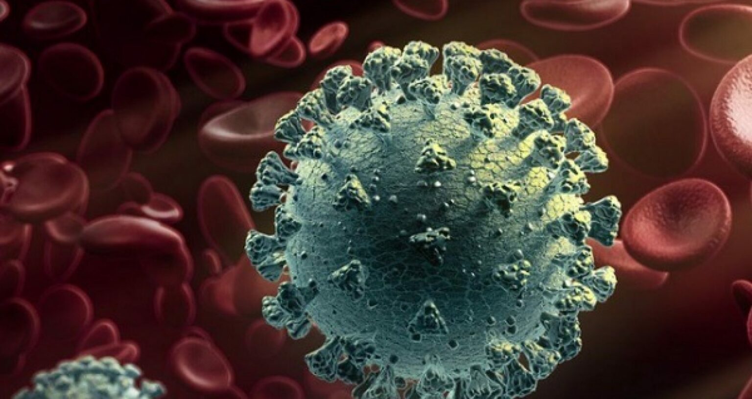 mutatii-virus-1920x1020-c-default - Jurnalul Olteniei – Știri din Craiova și Oltenia