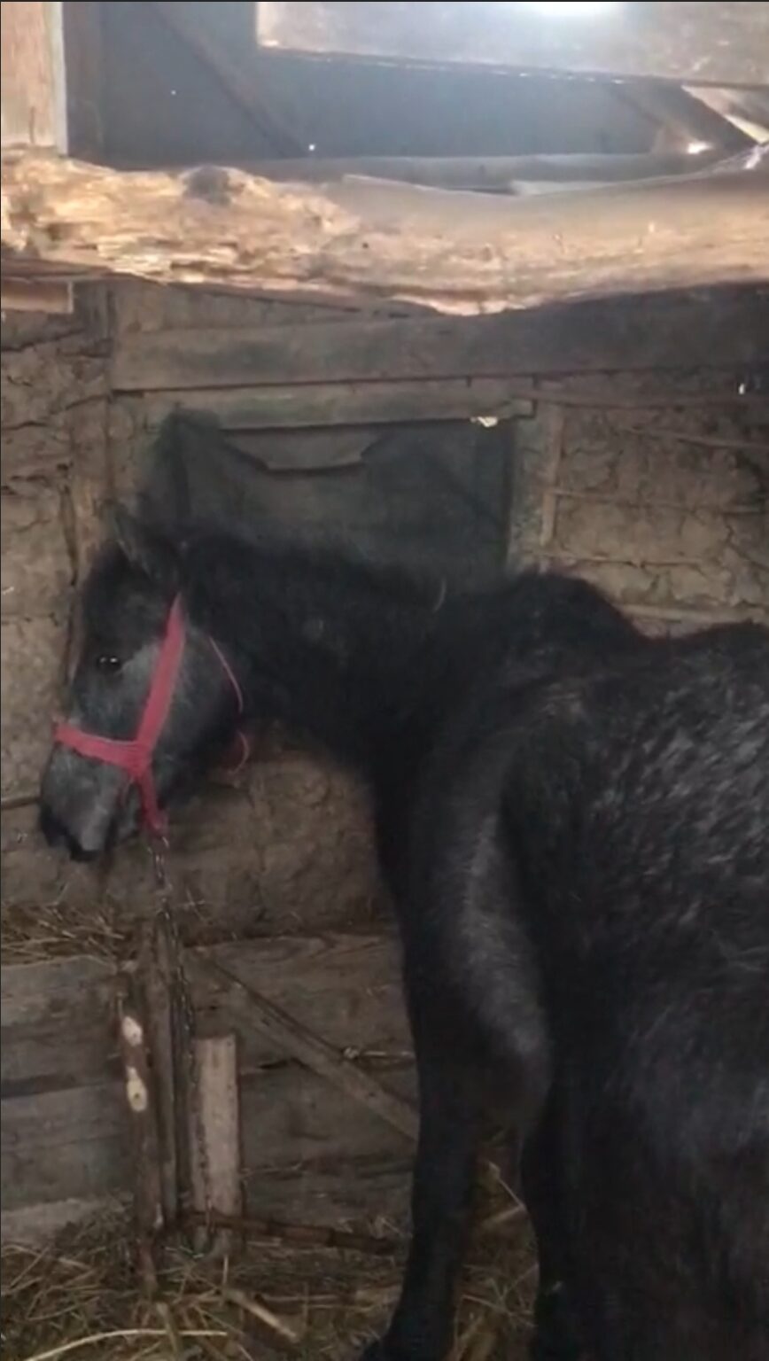 IMG-20210206-WA0003 - Jurnalul Olteniei – Știri din Craiova și Oltenia