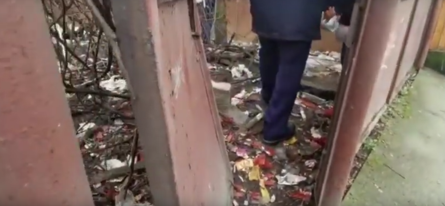 caini chinuiti - Jurnalul Olteniei – Știri din Craiova și Oltenia