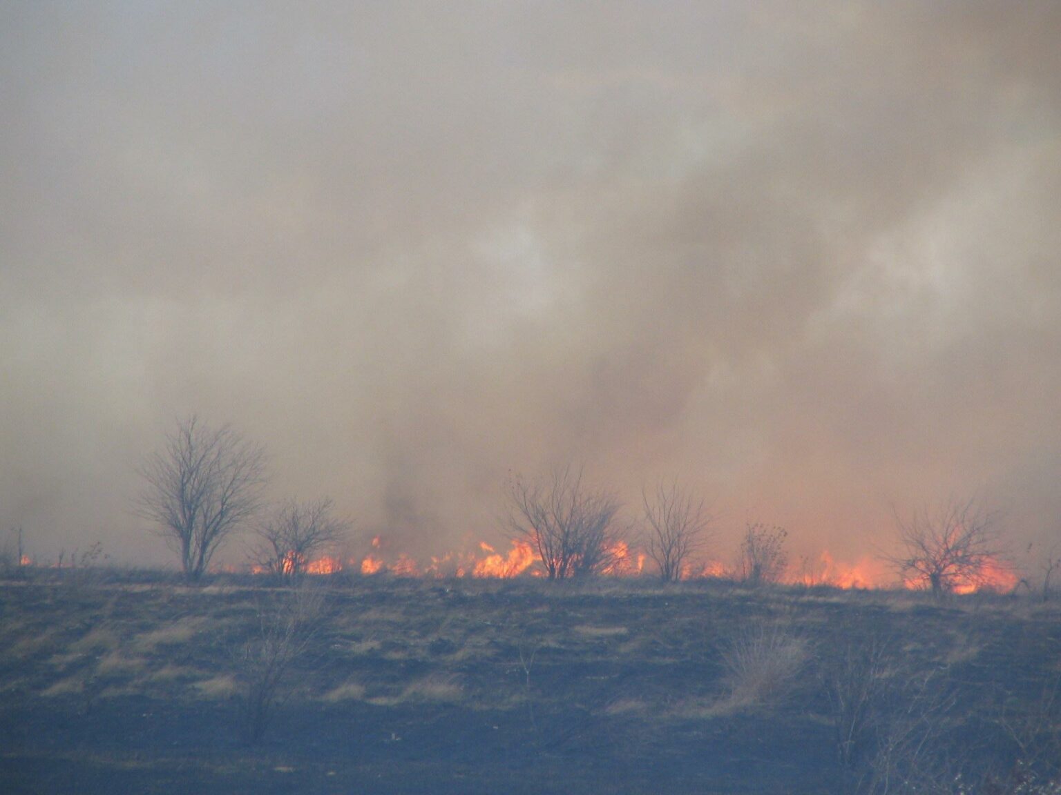 - Jurnalul Olteniei – Știri din Craiova și Oltenia