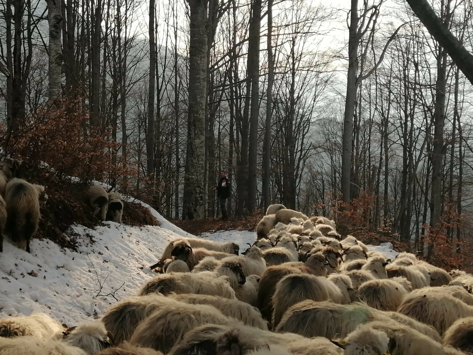 179002778_5581206561920460_4713128328563157429_n - Jurnalul Olteniei – Știri din Craiova și Oltenia