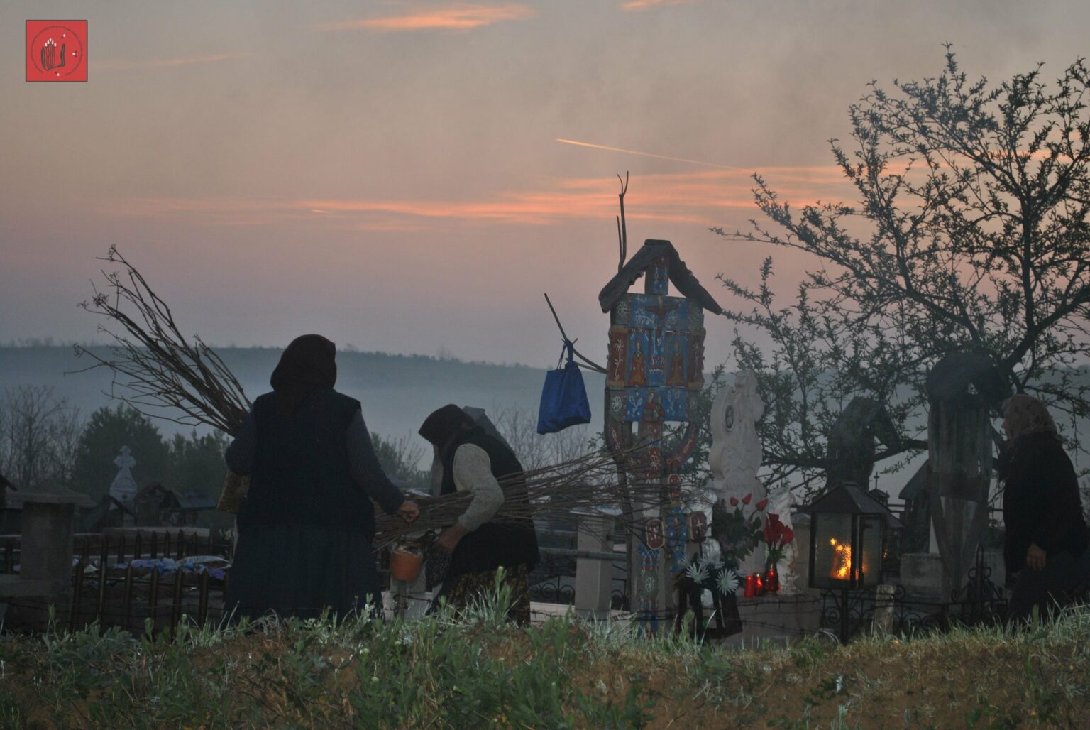 58430219_2137501643141458_4582432850145443840_n - Jurnalul Olteniei – Știri din Craiova și Oltenia