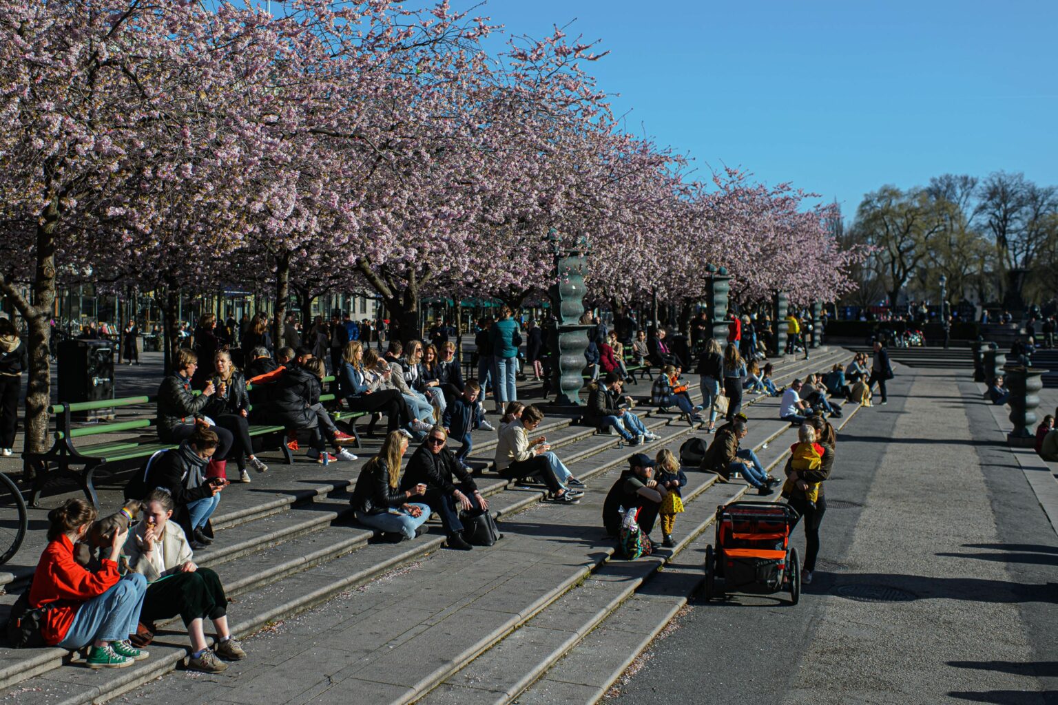 Sport News - April 6, 2020 - Jurnalul Olteniei – Știri din Craiova și Oltenia