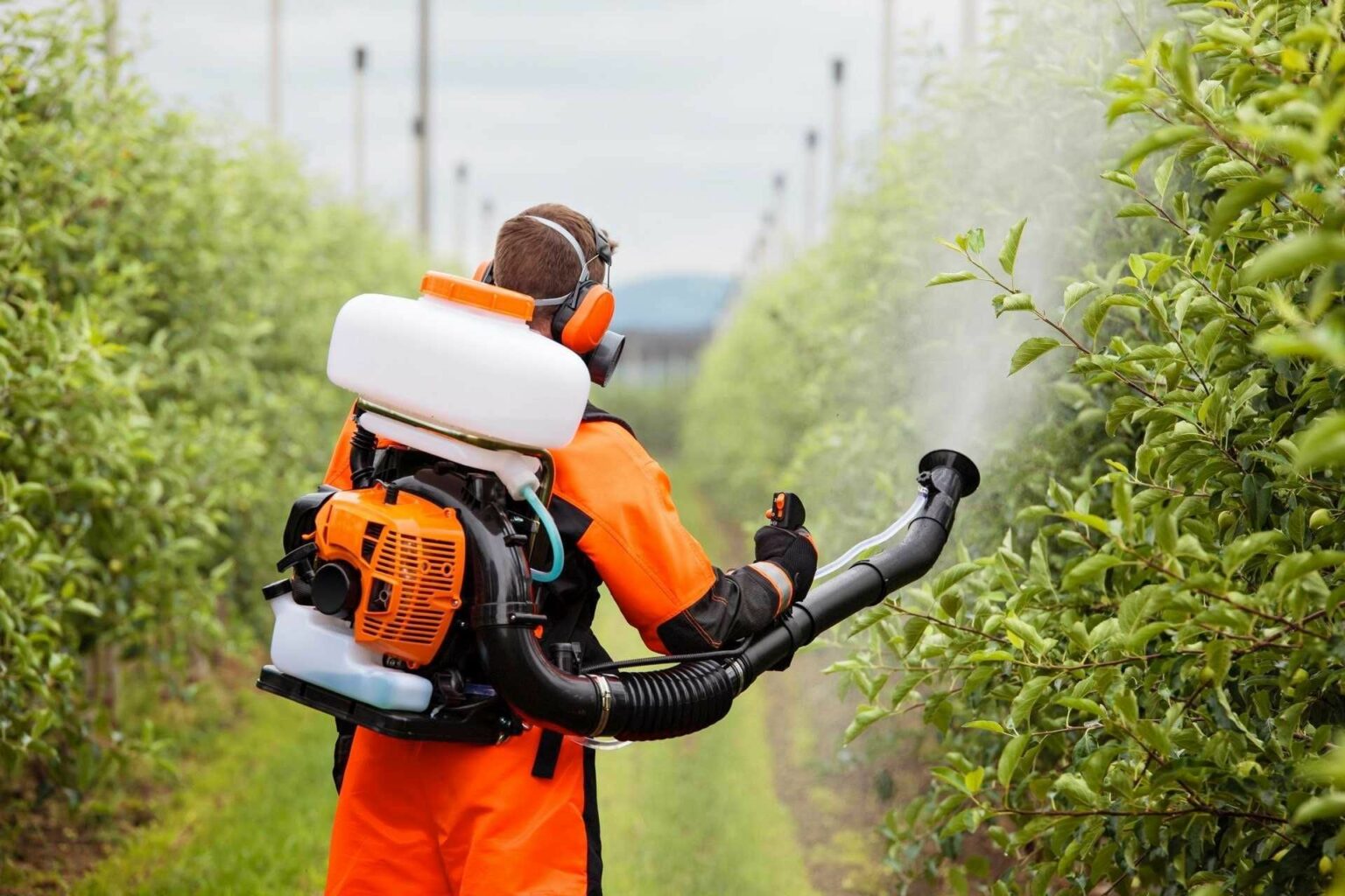 image (1) - Jurnalul Olteniei – Știri din Craiova și Oltenia