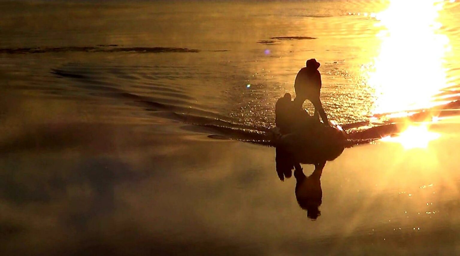 braconajOlt - Jurnalul Olteniei – Știri din Craiova și Oltenia