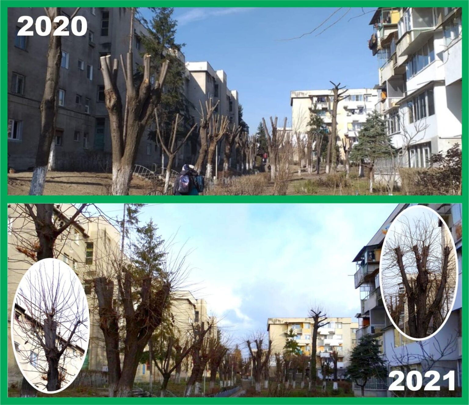 copaci Rm Valcea - Jurnalul Olteniei – Știri din Craiova și Oltenia