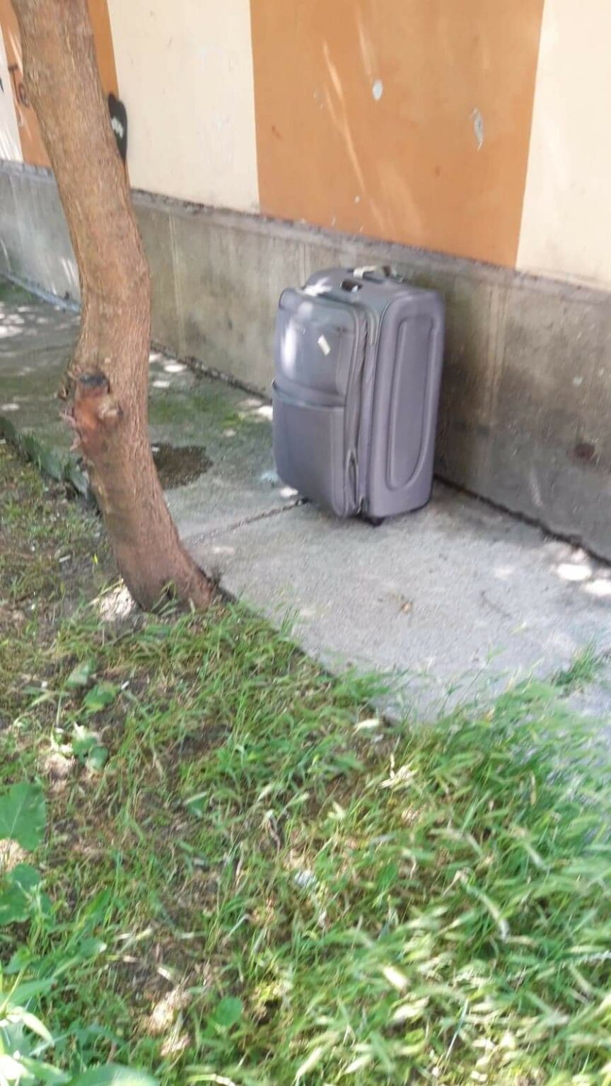 received_779194472782190 - Jurnalul Olteniei – Știri din Craiova și Oltenia