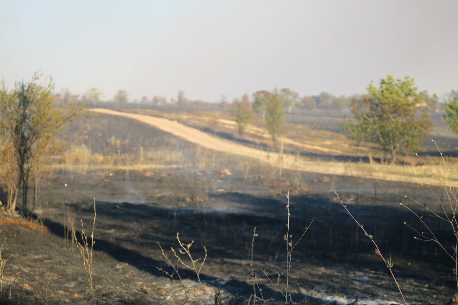 236956273_314309753782747_1208223447288875226_n - Jurnalul Olteniei – Știri din Craiova și Oltenia