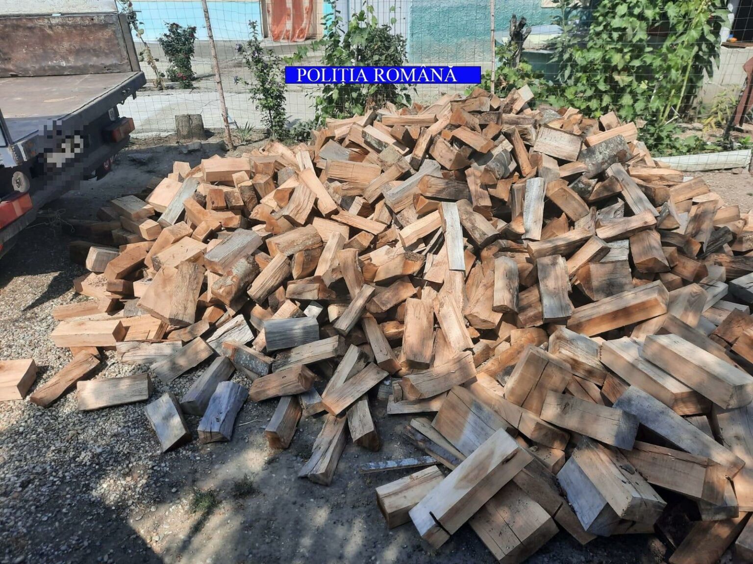 30.08 LemneOlt - Jurnalul Olteniei – Știri din Craiova și Oltenia