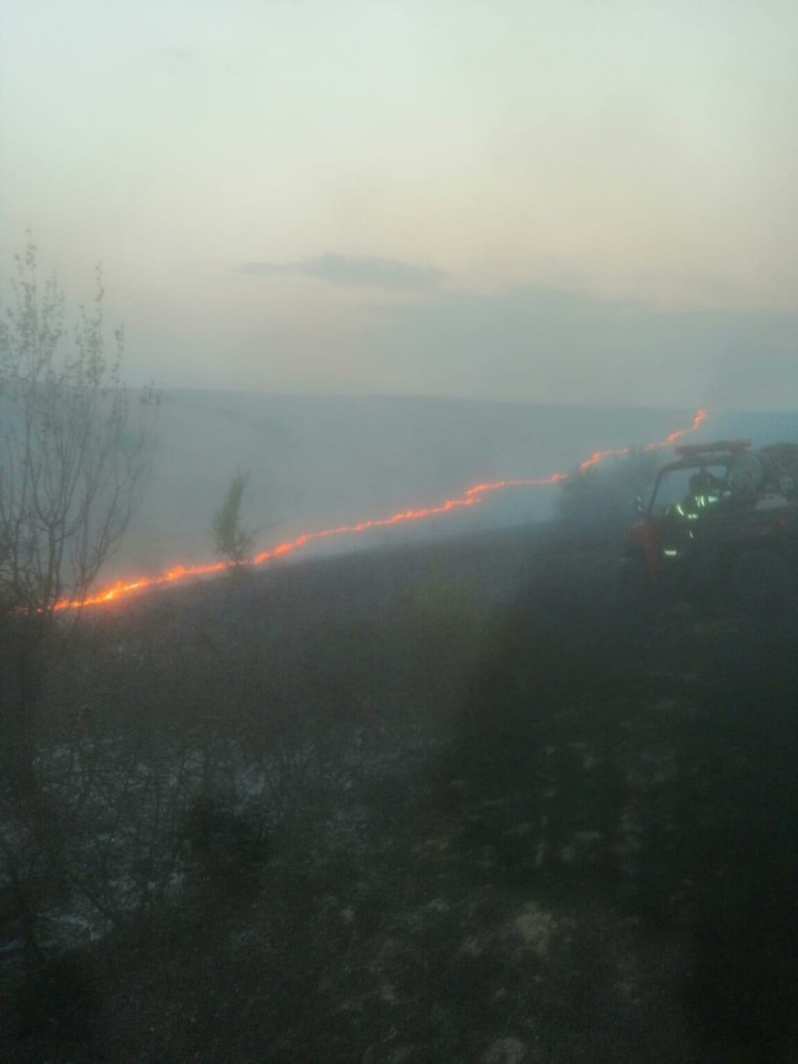 4 - Jurnalul Olteniei – Știri din Craiova și Oltenia