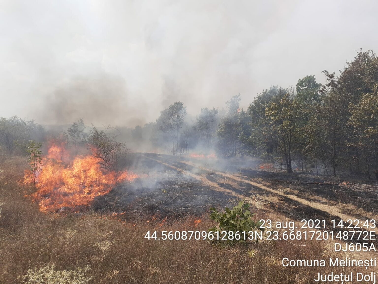 IMG-20210823-WA0010 - Jurnalul Olteniei – Știri din Craiova și Oltenia