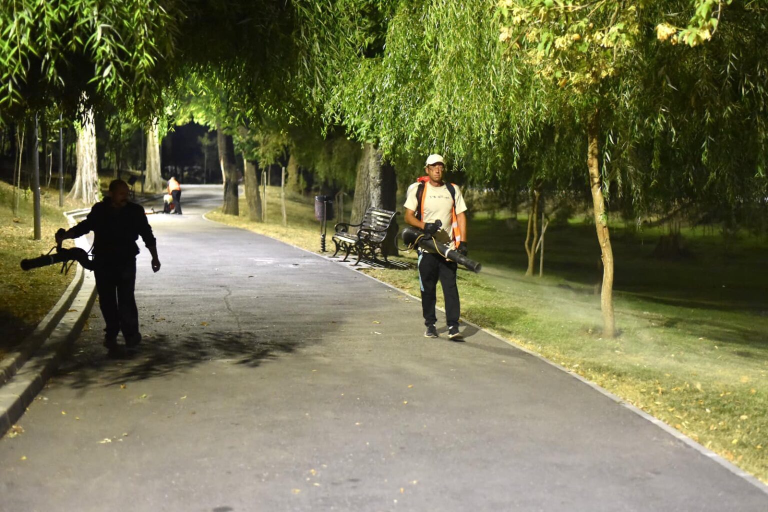 dezinsectie - Jurnalul Olteniei – Știri din Craiova și Oltenia