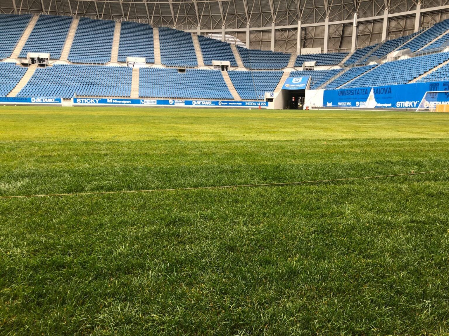 gazon-1 - Jurnalul Olteniei – Știri din Craiova și Oltenia