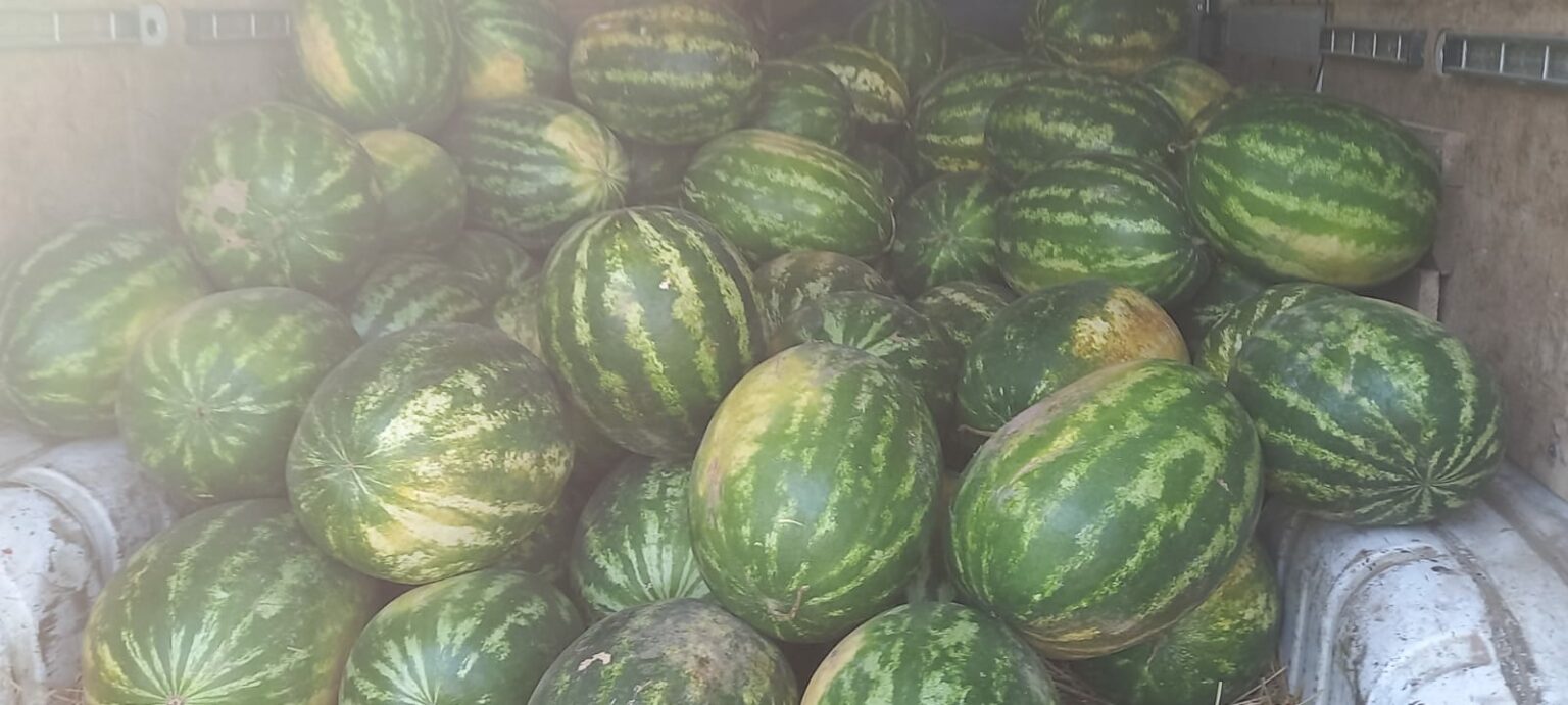 sjhkdghg - Jurnalul Olteniei – Știri din Craiova și Oltenia