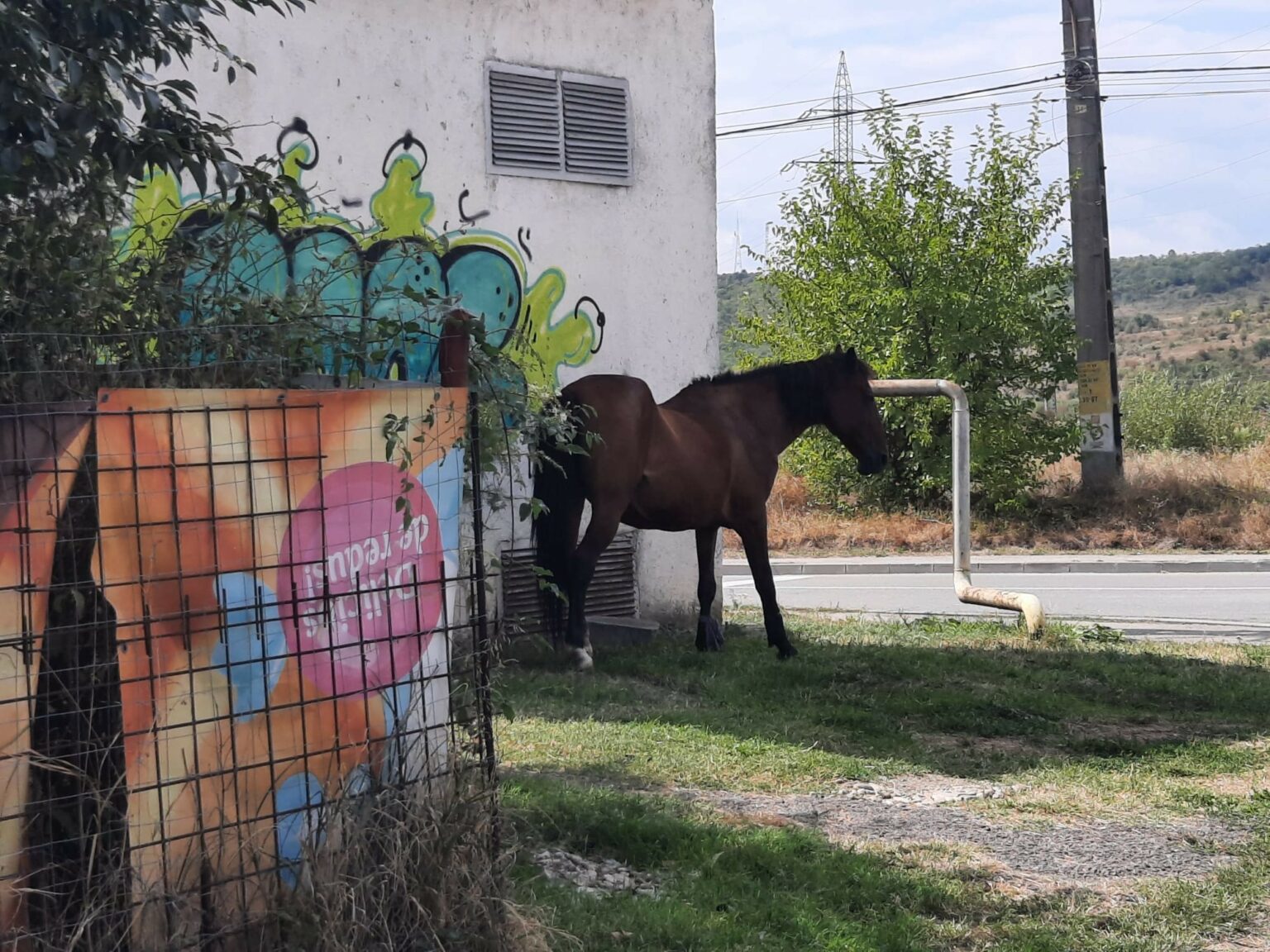 06.09 CaiLăsațiLiberGJ - Jurnalul Olteniei – Știri din Craiova și Oltenia