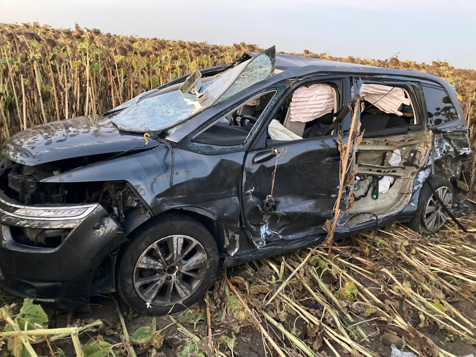 AA9EF257-CAEC-4428-A88F-CF93947C7F47 - Jurnalul Olteniei – Știri din Craiova și Oltenia