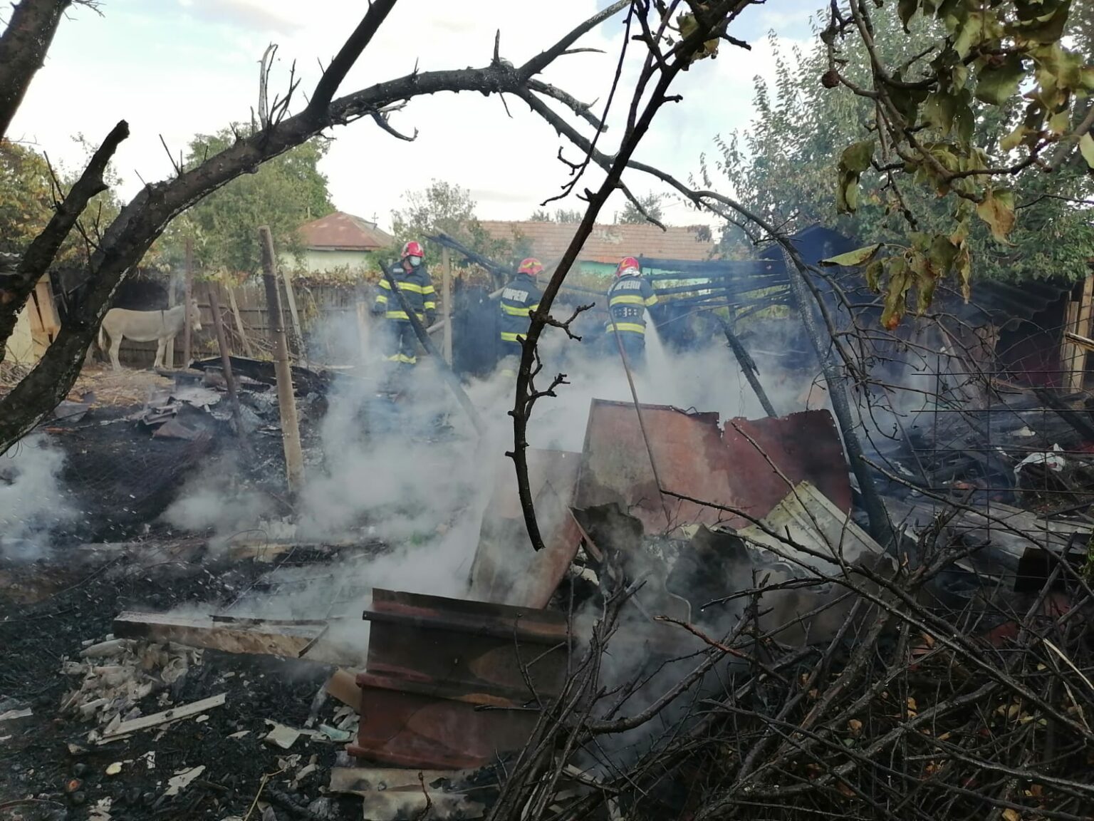 6c0de9da-0fb1-486b-9f02-f6c675c258c6 - Jurnalul Olteniei – Știri din Craiova și Oltenia