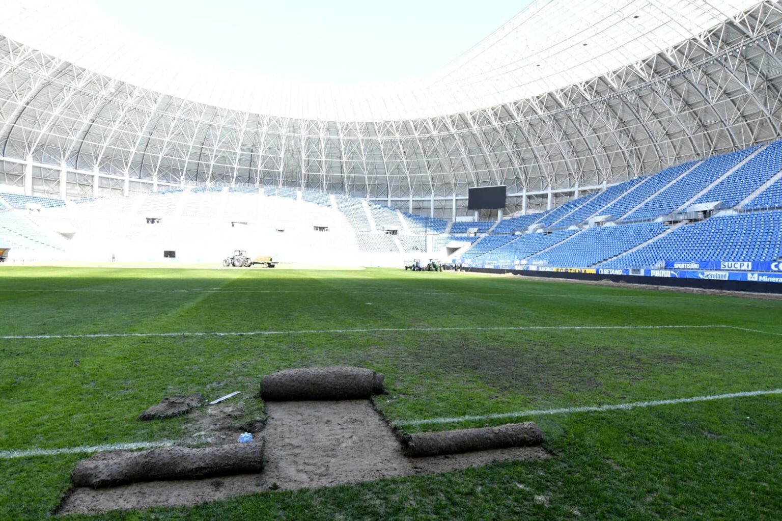 gazon (1) - Jurnalul Olteniei – Știri din Craiova și Oltenia