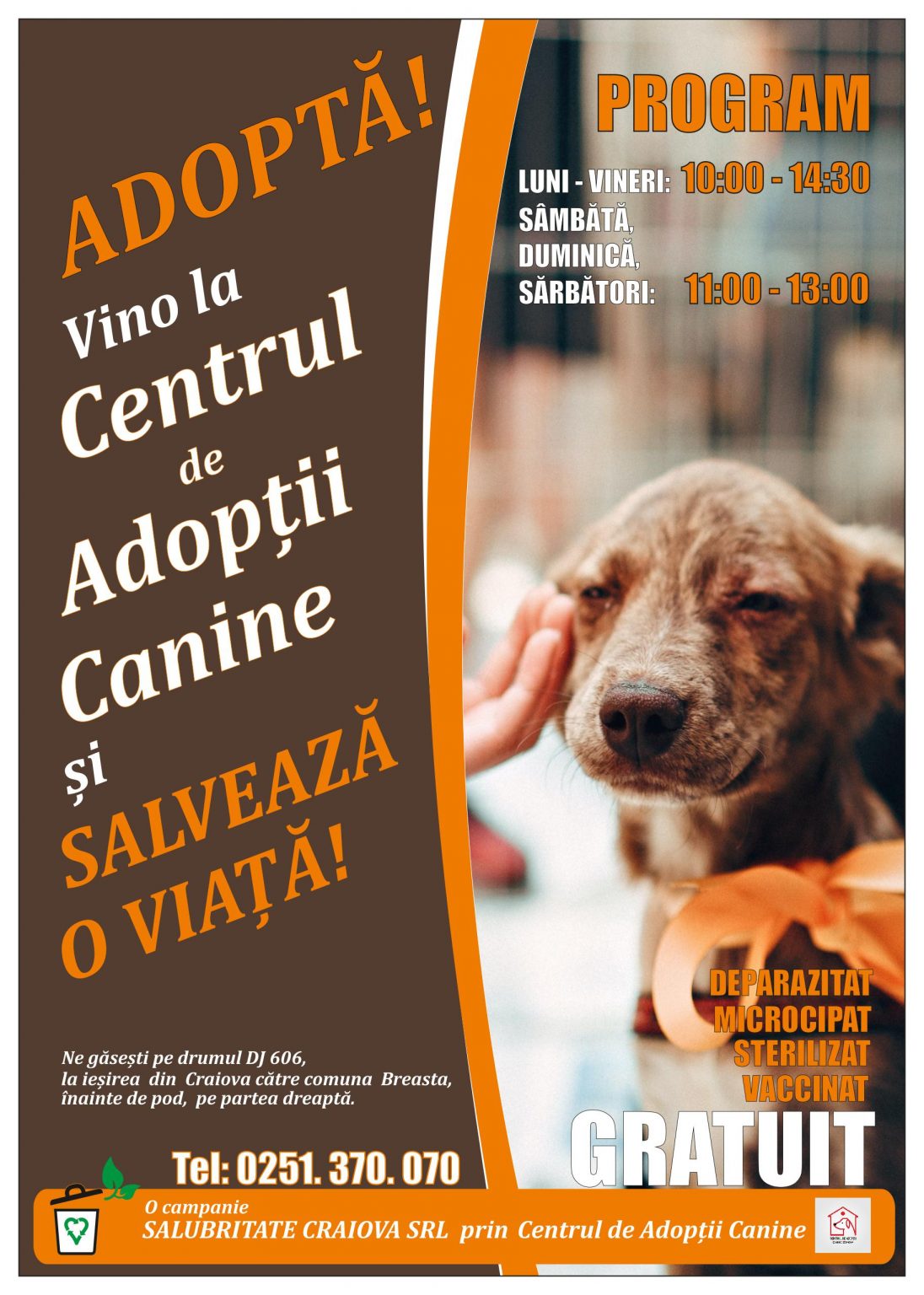 flyerfata (1) - Jurnalul Olteniei – Știri din Craiova și Oltenia