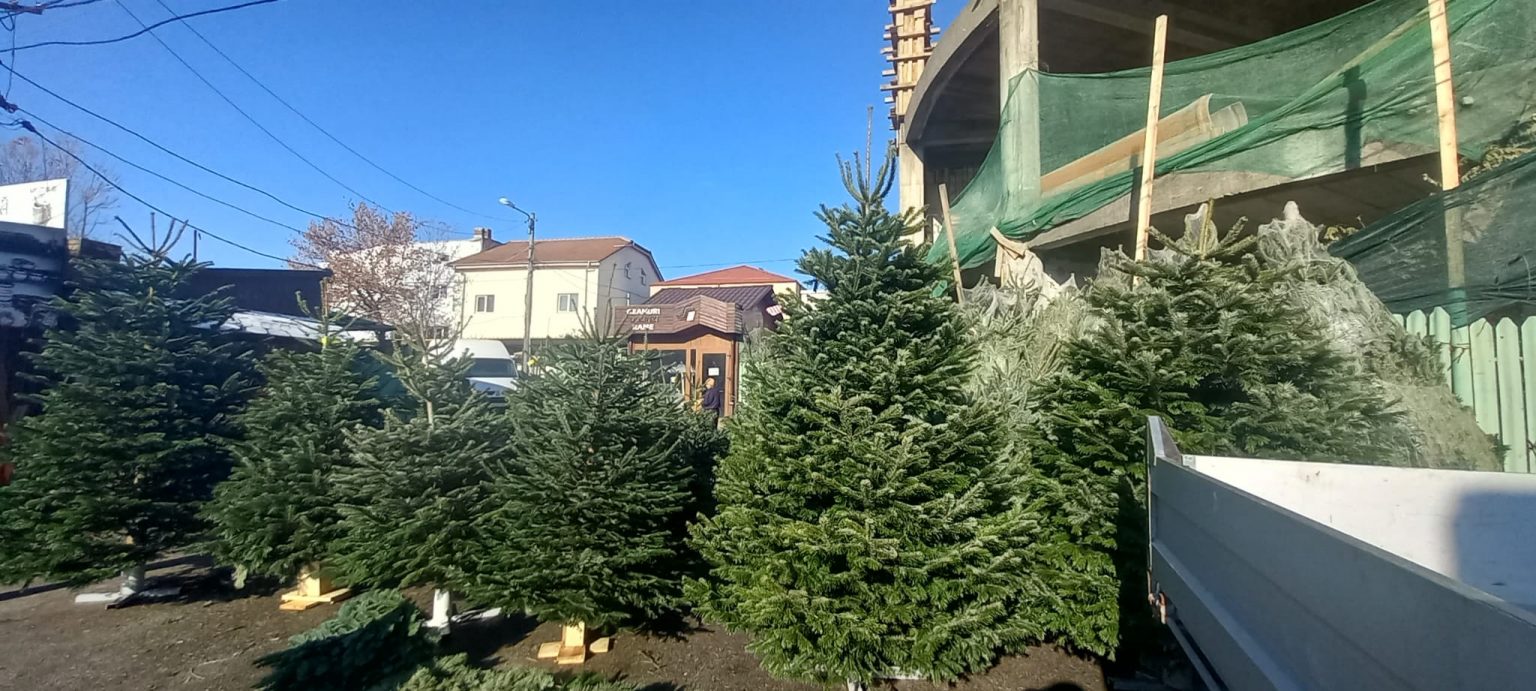 braziii - Jurnalul Olteniei – Știri din Craiova și Oltenia