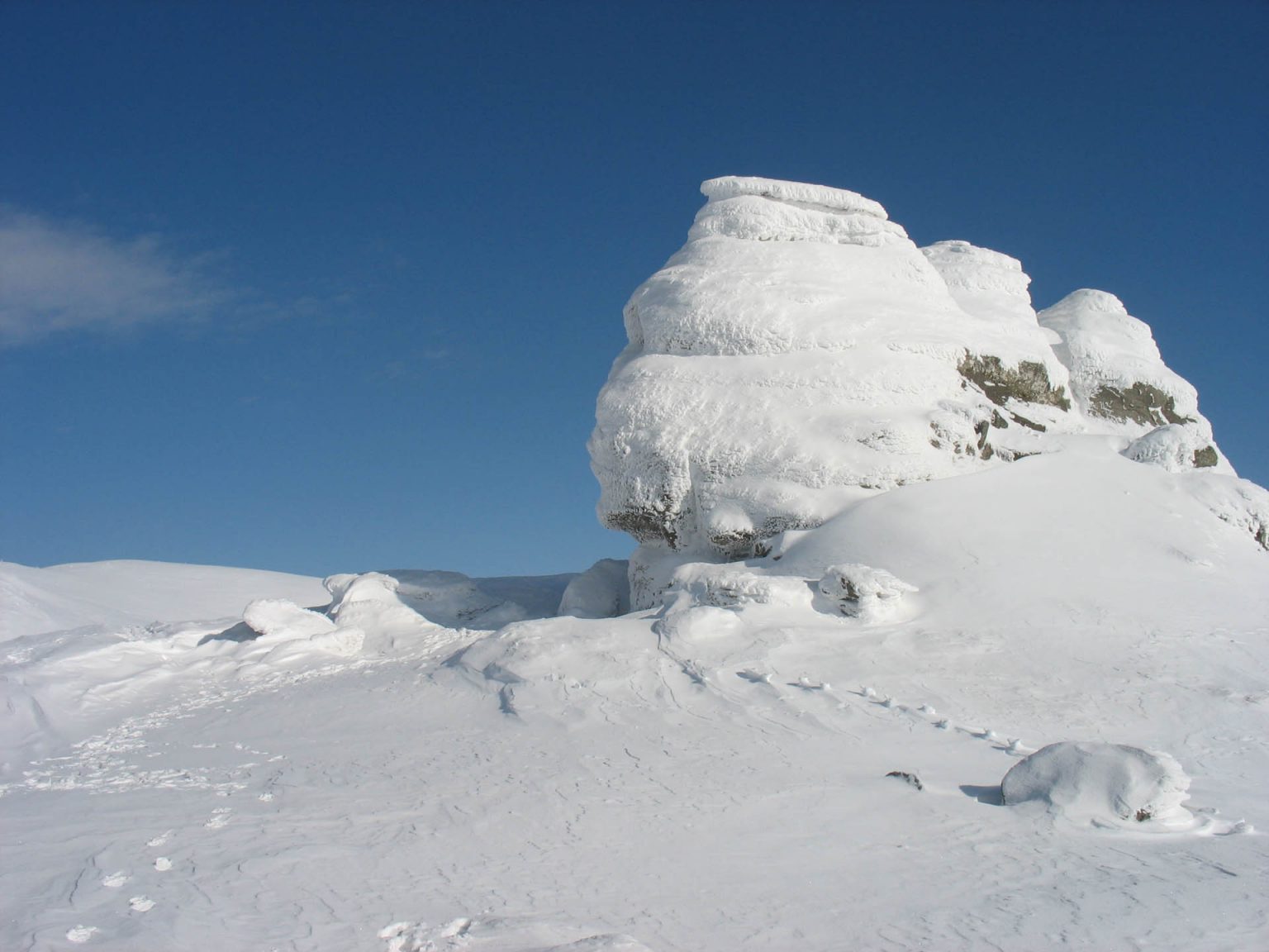 IMG_0325 - Jurnalul Olteniei – Știri din Craiova și Oltenia