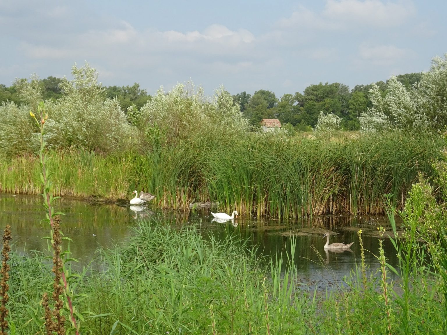 273157488_358924369566713_6270991259948930678_n - Jurnalul Olteniei – Știri din Craiova și Oltenia
