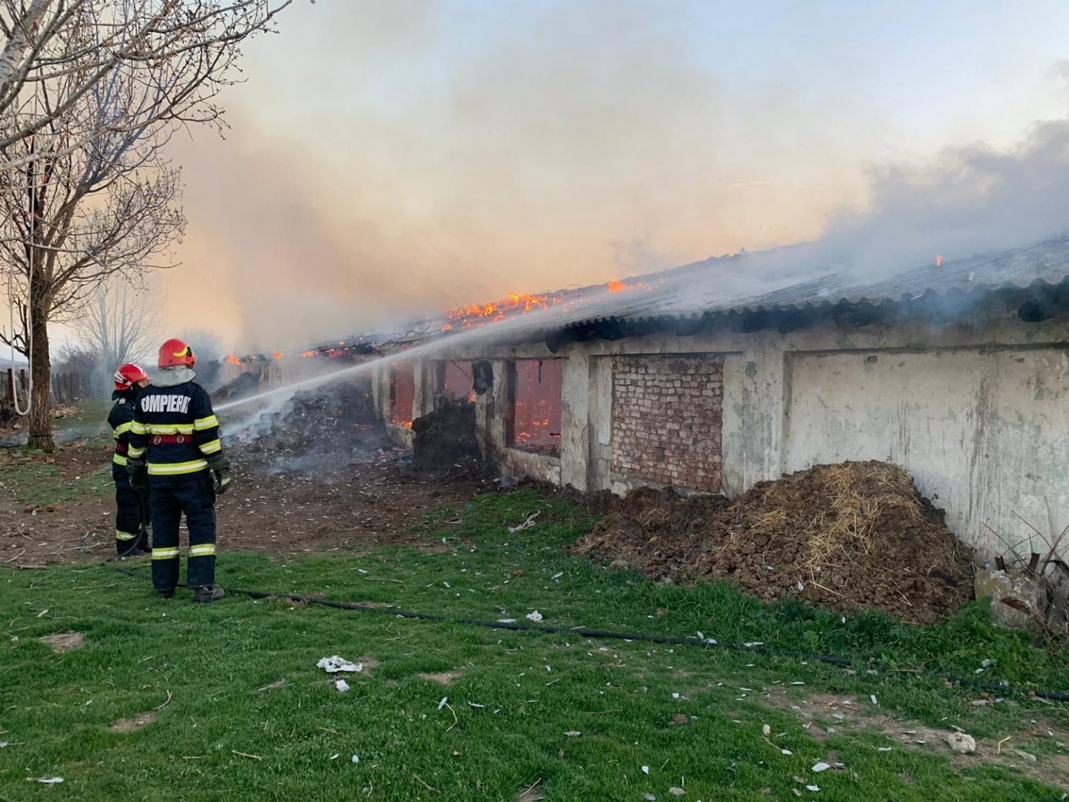 276214216_921739645184058_8418257393165144359_n - Jurnalul Olteniei – Știri din Craiova și Oltenia