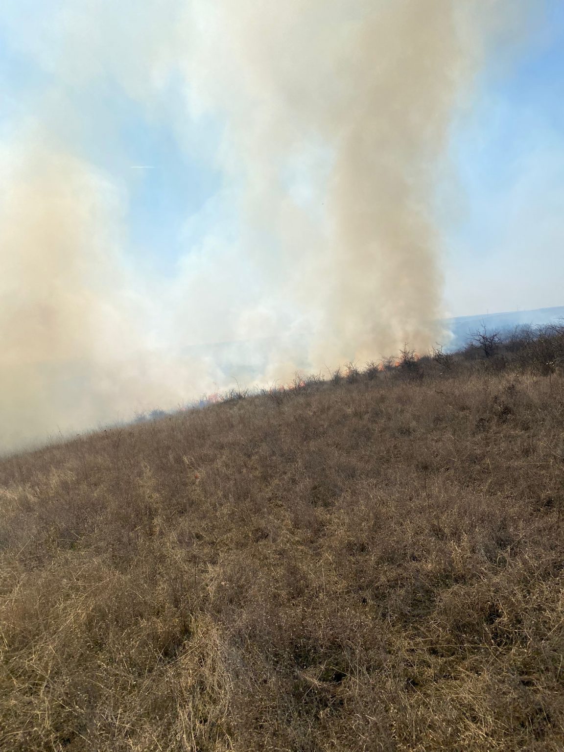 WhatsApp Image 2022-03-24 at 05.59.50 - Jurnalul Olteniei – Știri din Craiova și Oltenia