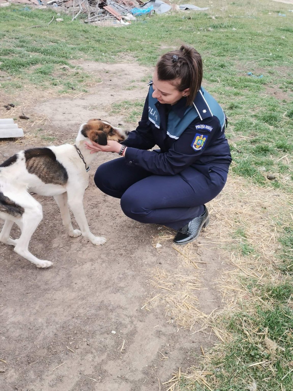 (FOTO/VIDEO) Cinci câini, salvați de Protecția Animalelor. Două persoane au fost amendate
