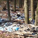 Malurile Jiului, ”înghițite” de gunoaie. Zeci de tone au fost ridicate