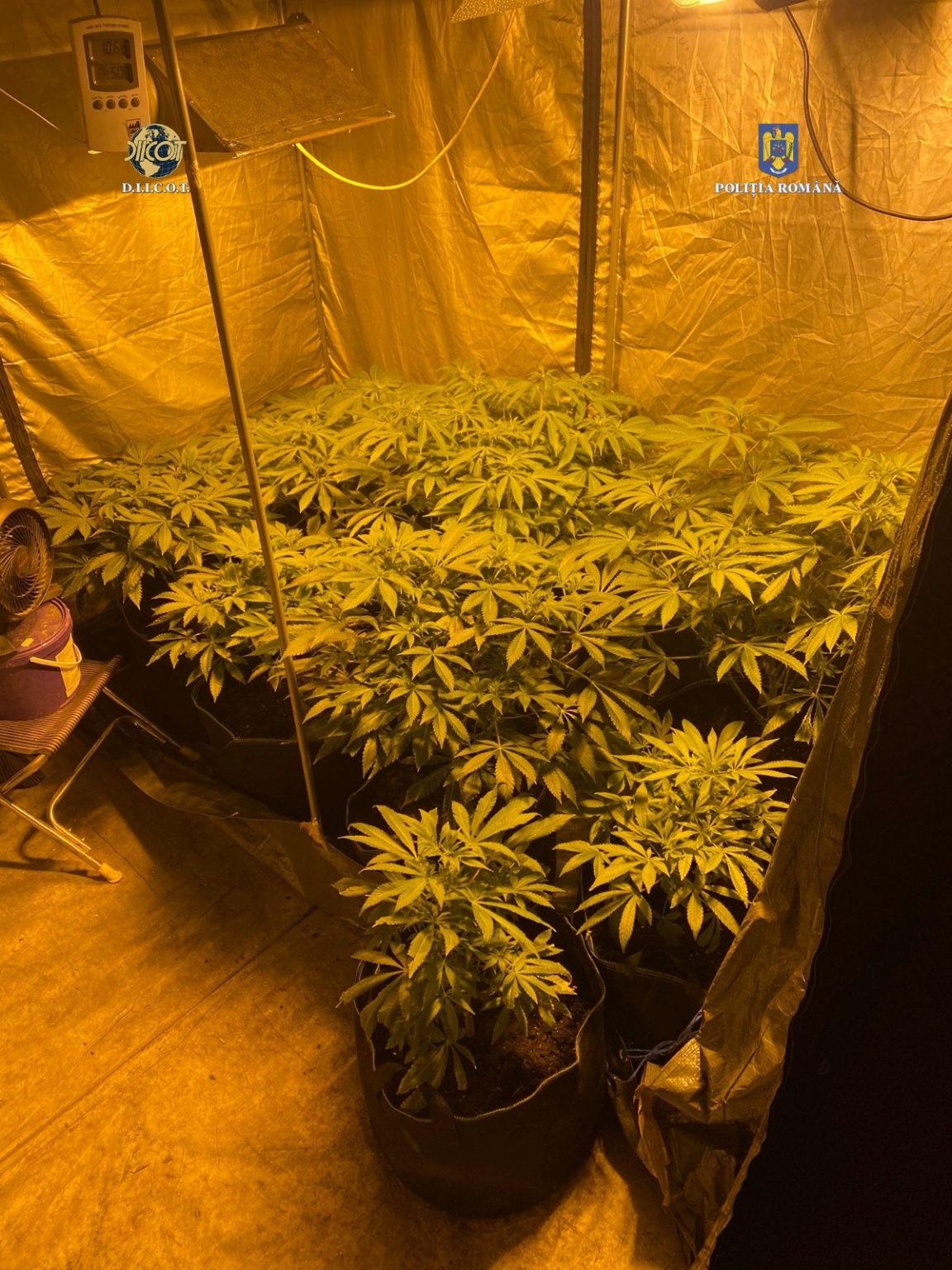 lasfjhgf - Jurnalul Olteniei – Știri din Craiova și Oltenia