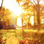 2021 a fost un an de haos climatic în Europa 