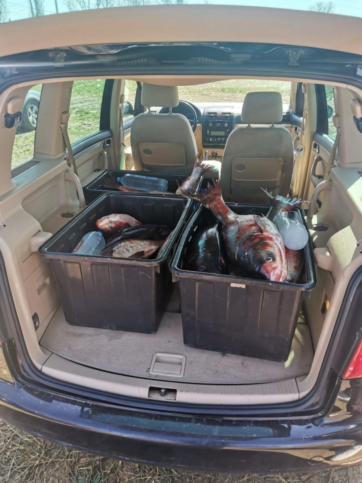 peste 110 kg - Jurnalul Olteniei – Știri din Craiova și Oltenia