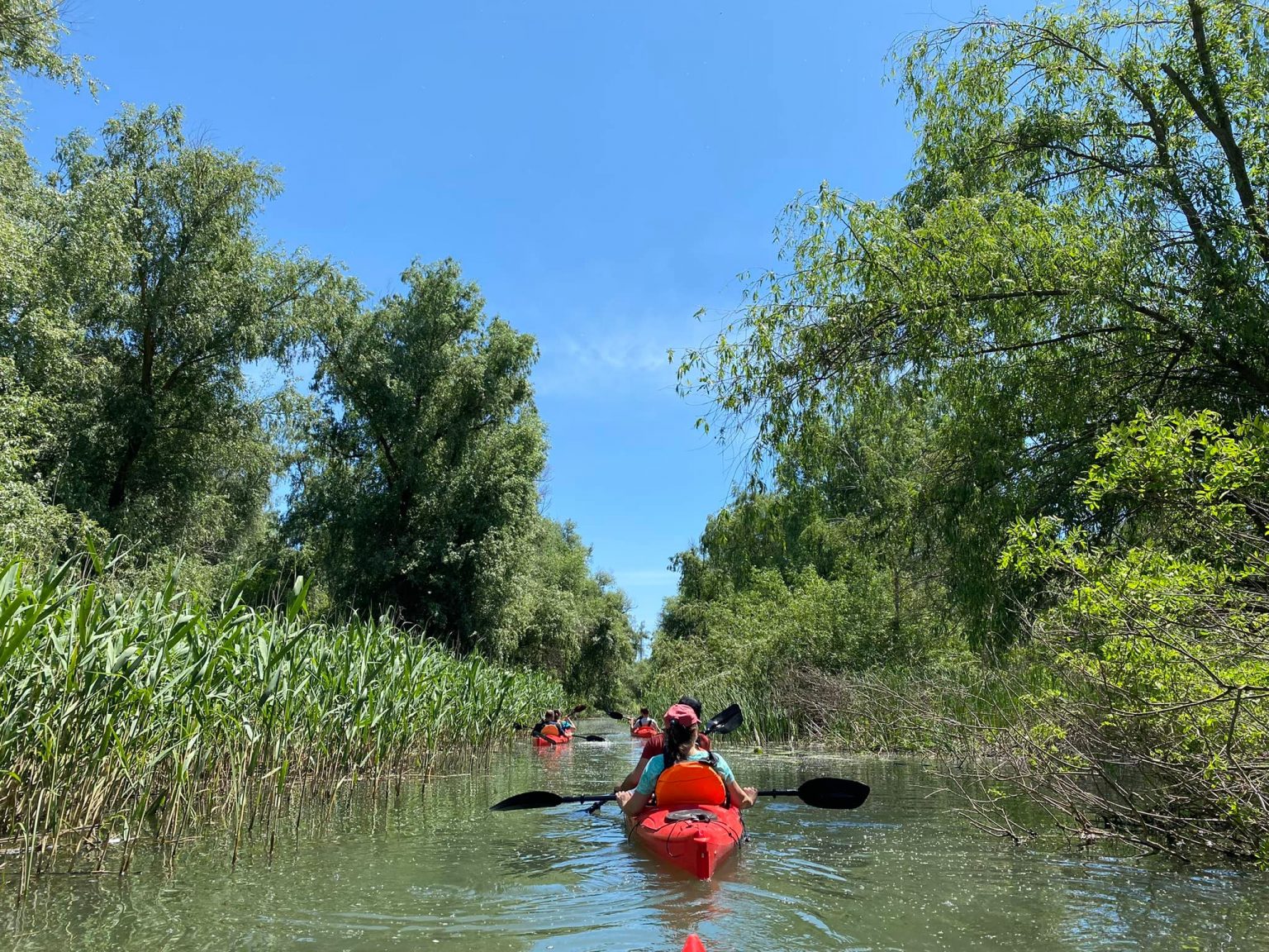 283409066_1162559521189652_1416389164652288612_n - Jurnalul Olteniei – Știri din Craiova și Oltenia
