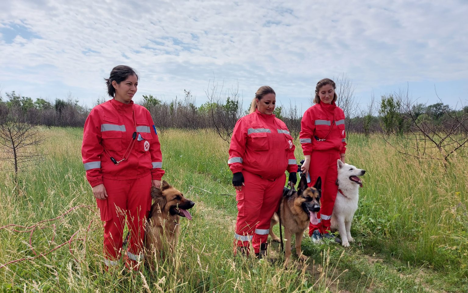 caini-salvatori - Jurnalul Olteniei – Știri din Craiova și Oltenia