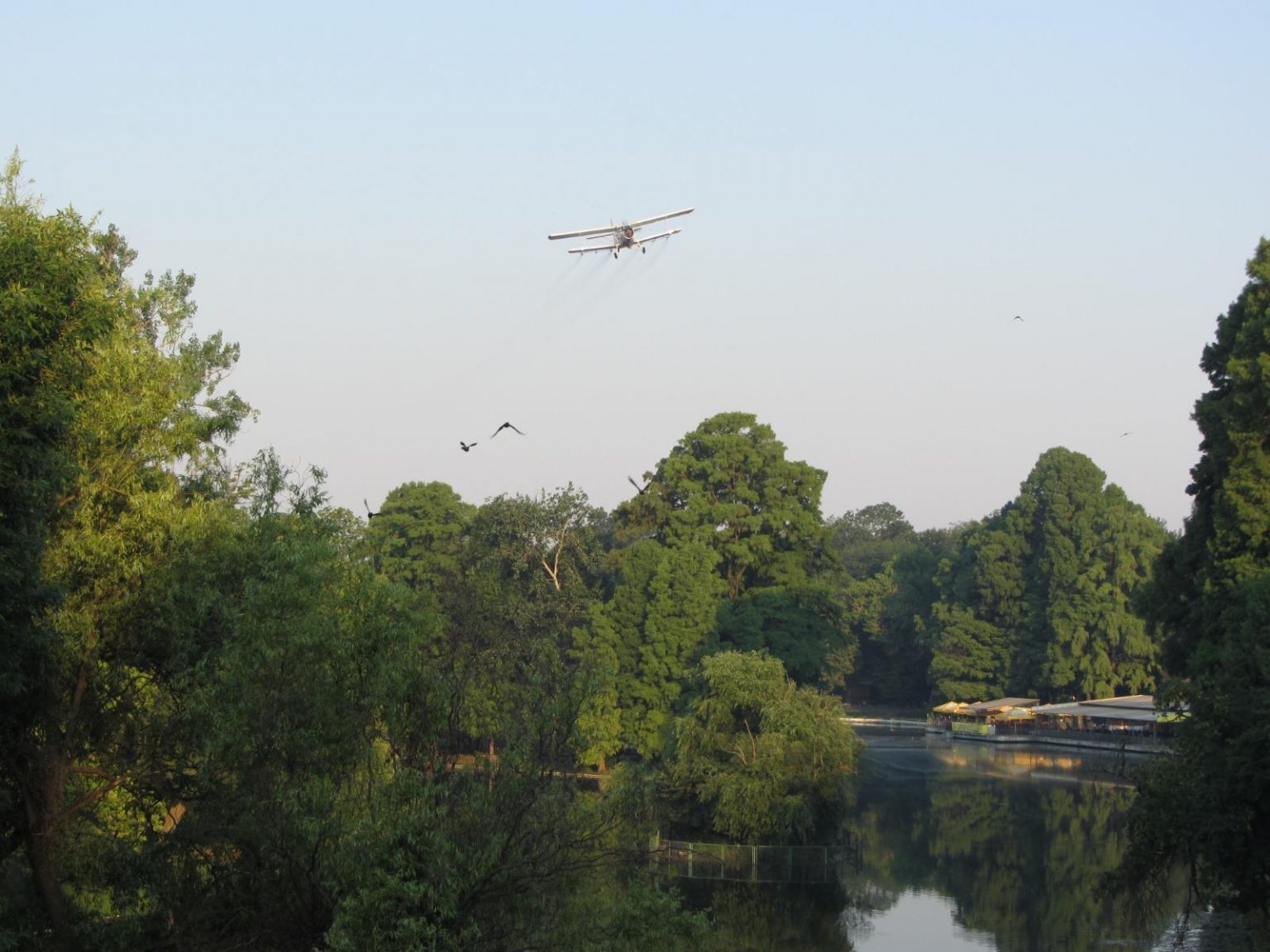 salubritate - Jurnalul Olteniei – Știri din Craiova și Oltenia salubritate