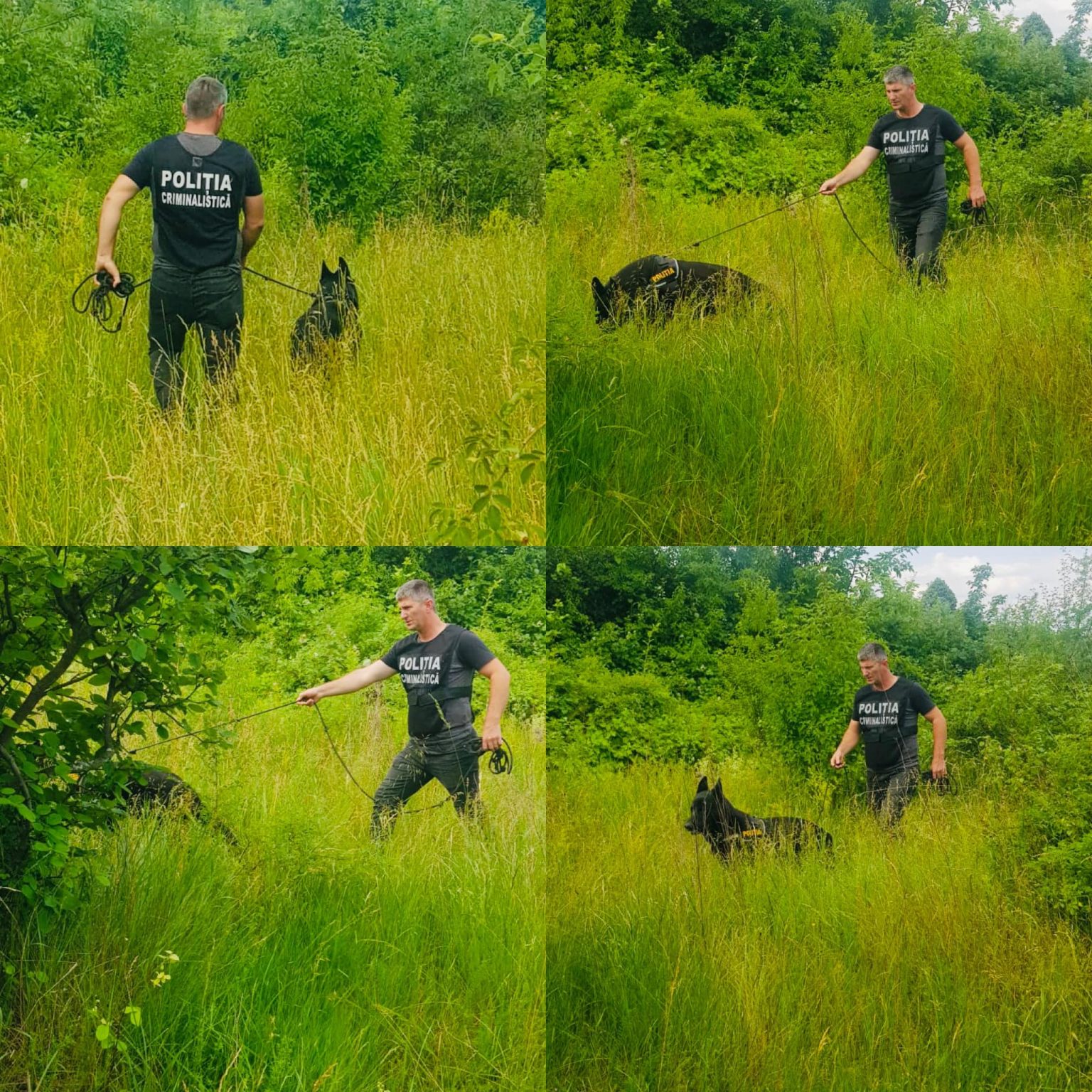 caine politist - Jurnalul Olteniei – Știri din Craiova și Oltenia