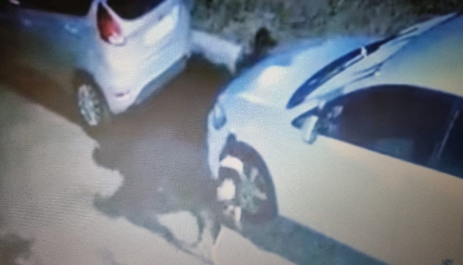 291800210_389517646613318_1879035344875193125_n - Jurnalul Olteniei – Știri din Craiova și Oltenia