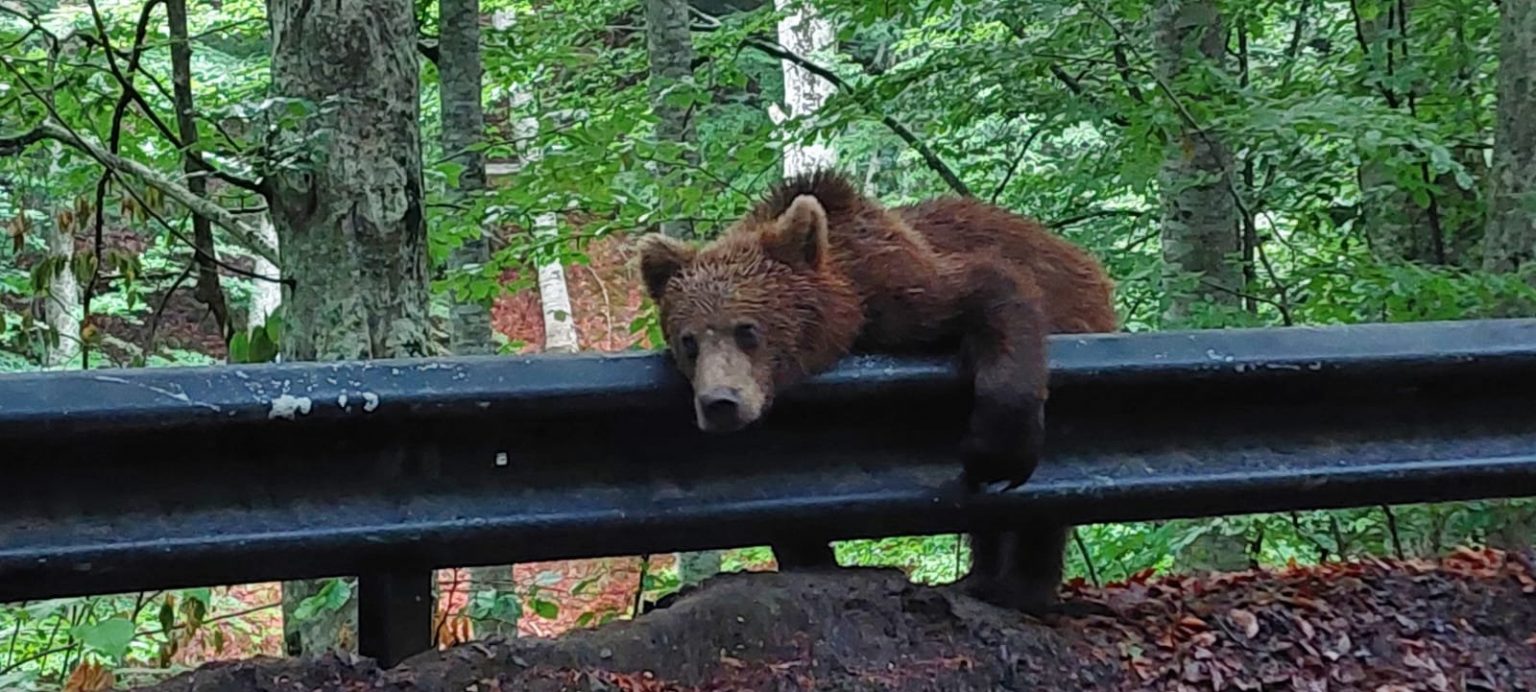 292178214_10223345316473398_2455955392584645602_n - Jurnalul Olteniei – Știri din Craiova și Oltenia