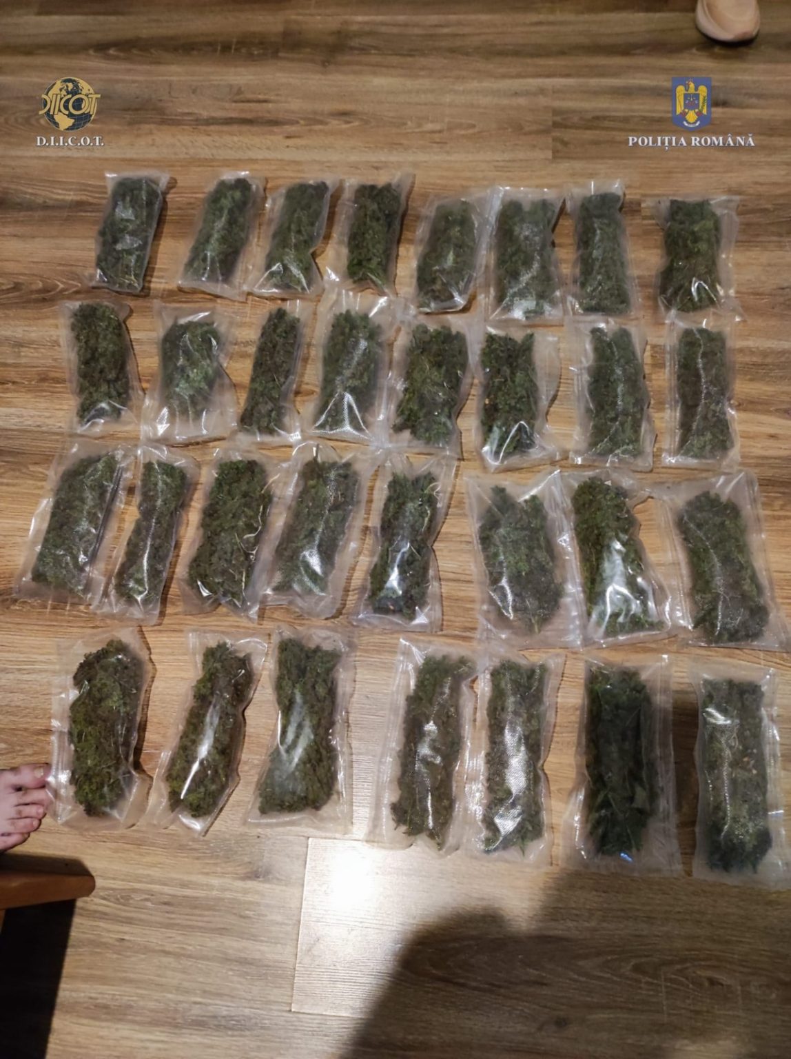 IMG-20220701-WA0018 - Jurnalul Olteniei – Știri din Craiova și Oltenia